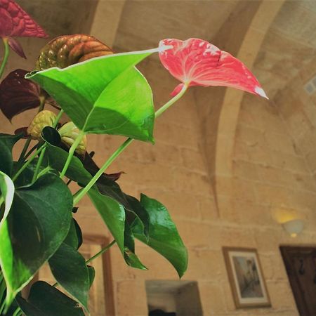 Encanto Vegetarian Bed & Breakfast Bed & Breakfast Xagħra Dış mekan fotoğraf