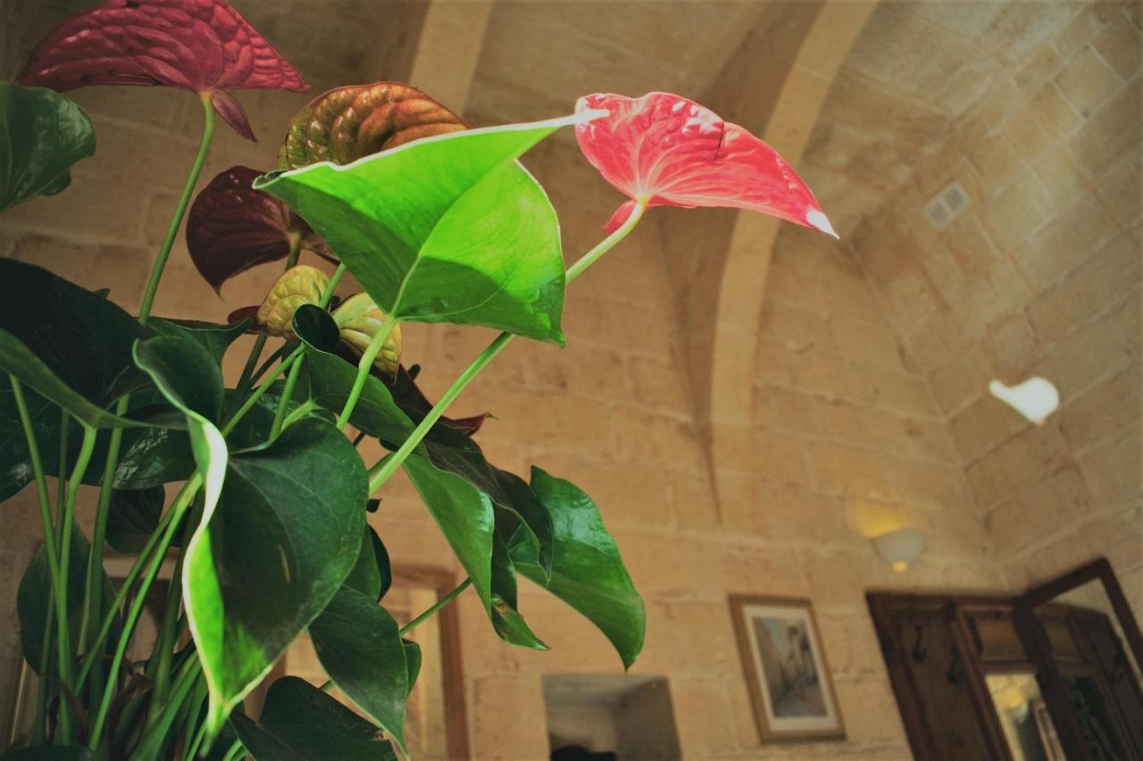 Encanto Vegetarian Bed & Breakfast Bed & Breakfast Xagħra Dış mekan fotoğraf