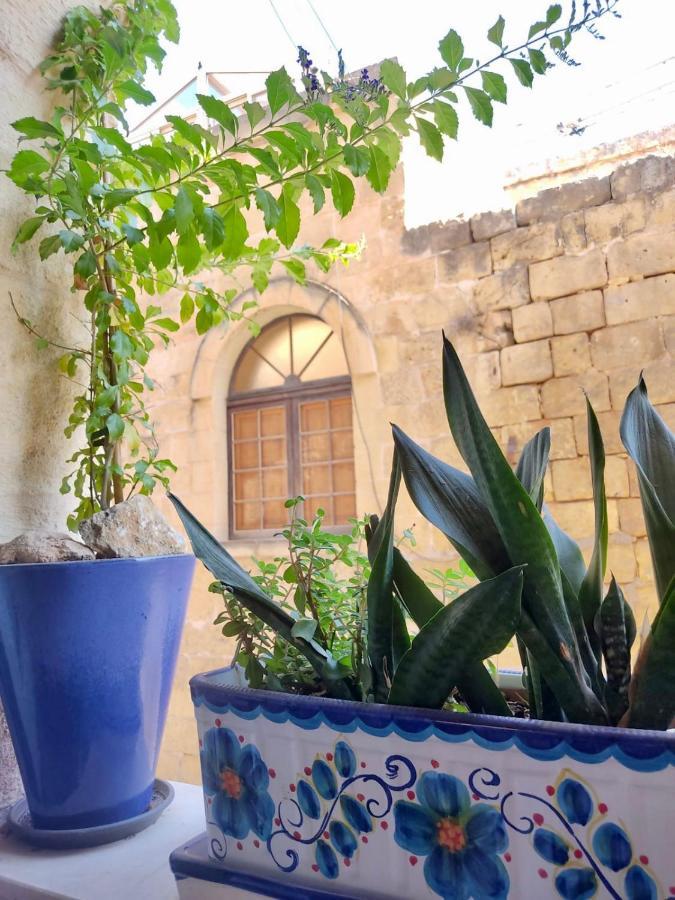 Encanto Vegetarian Bed & Breakfast Bed & Breakfast Xagħra Dış mekan fotoğraf